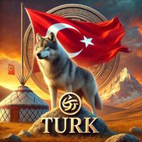 Türk Yükselişi (@turkyukselisi) 's Twitter Profile