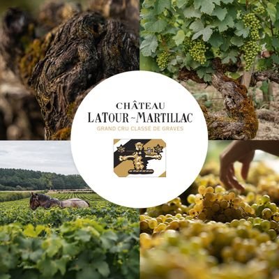 Château Latour-Martillac, Grand Cru Classé de Graves, Pessac-Léognan.
Propriété de la famille Jean Kressmann depuis 1930.