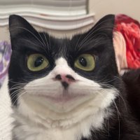 Jon (@joedaddygone654) 's Twitter Profile
