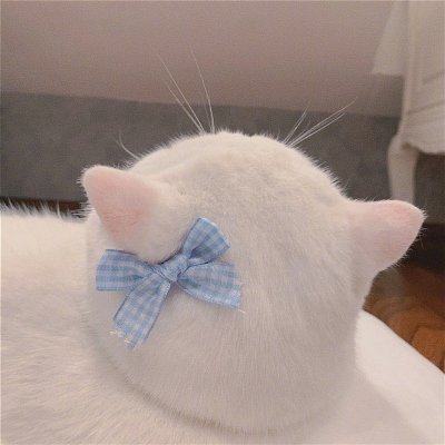 abby_funk58273's profile picture. ♥♥同城真心线下🈷唯一推特号👉@Av_rwa👈 蛋蛋后粉色系小学妹。可甜可咸,可69.只要你真心，妹妹必尽心。粉色系妹妹等你——————🈚️定金，🈚️门槛—————非诚勿扰————要定金门或者门槛费的都是骗子！！！！！