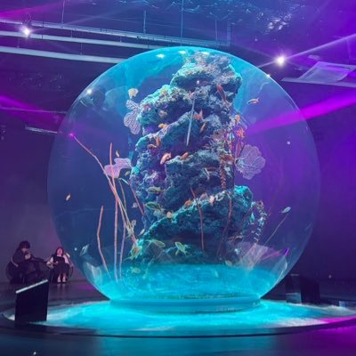 OXlDN7Yr7582242's profile picture. 京都