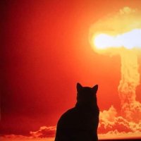 Ex Trucker 64 (@philipr_r8195) 's Twitter Profile
