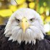 Justin James (@justintime2024) Twitter profile photo Justin James (@justintime2024) Twitter profile photo