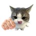 boo! (@tzukiq) Twitter profile photo boo! (@tzukiq) Twitter profile photo