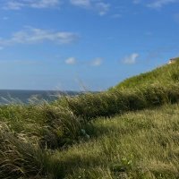 odell (@aoalp) 's Twitter Profile Photo