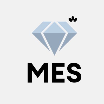 Management and Economics Society (MES) of CIM (Canadian Institute of Mining, Metallurgy and Petroleum)
