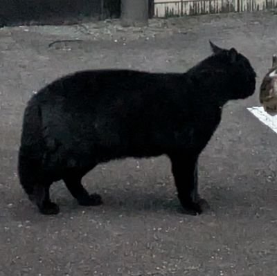 ざわわざわわさんのプロフィール画像