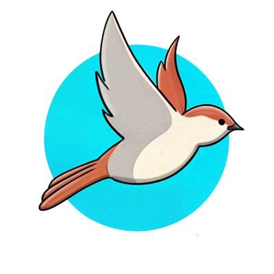 swiftt_vpn's profile picture. بهترین پشتیبانی vpn رو از سوییفت بگیر