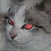 shajsjsoan (@shajsjsoan1585) Twitter profile photo shajsjsoan (@shajsjsoan1585) Twitter profile photo
