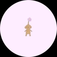 きり (@non_o_o_non) 's Twitter Profile Photo きり (@non_o_o_non) 's Twitter Profile Photo