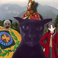 BASED CRUSADER 🇧🇷/🇮🇹/🇩🇪 (@thewayofmastery) 's Twitter Profile