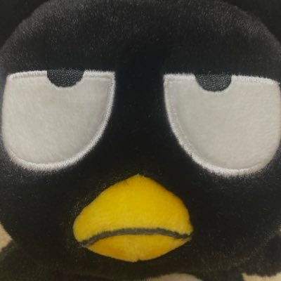 チャンリクス🐷🐰🐥changlix🩷🩵서창빈/이용복/스트레이 키즈 無言フォロー大歓迎 あなたのペースで話しかけてくださいね