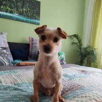 Jaksedolesa-taksezlesa (@k184146k) 's Twitter Profile