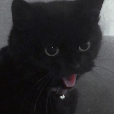 hunhun_0's profile picture. 落花流水