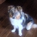 Connie Pearce - @cpearce101 - Twitter