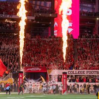 AJ Harig (@harig_andrew) 's Twitter Profile
