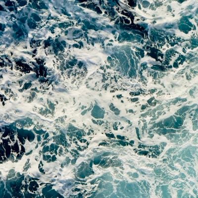 Aquaphile__'s profile picture. kfupm