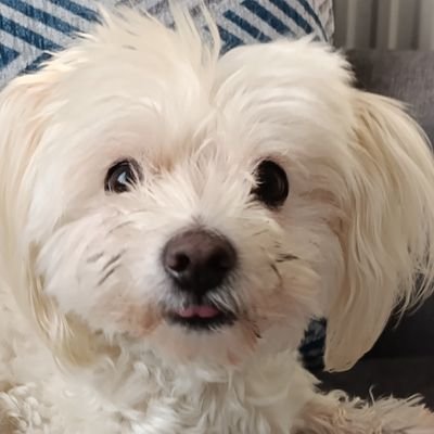 DeryaEr16080797's profile picture. 