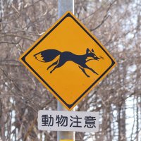 ibuki (@ibuki_sign) 's Twitter Profile