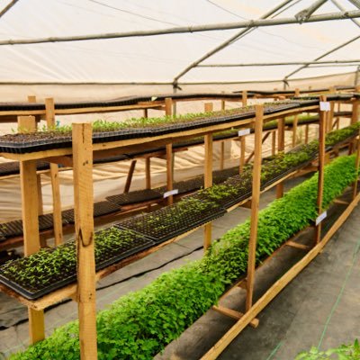 Dedicated to vegetable farming, provides valuable insights and resources for anyone interested in growing vegetables, whether as a hobby or professionally