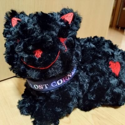 シノアさんのプロフィール画像
