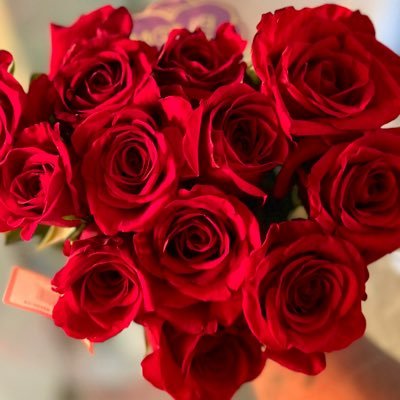 Rollie3233's profile picture. 