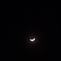 ₚₓₓₗ (@4d56x) 's Twitter Profile