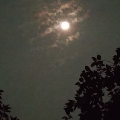 NathSuzon's profile picture. SR6TLXJ6