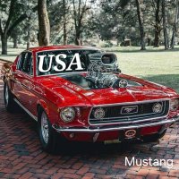 Paul T 🇺🇲🇮🇹Freedom-Liberta' (@paul72637) 's Twitter Profile