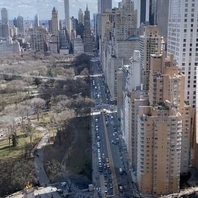 wizonat586's profile picture. 