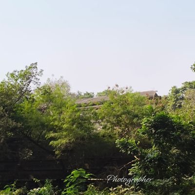 anuptilak's profile picture. Programmer by Choice. Entrepreneur, which I wanted to be. Poet, poems just happens to me.