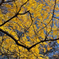 Giancarlo (@giancar70005383) 's Twitter Profile Photo