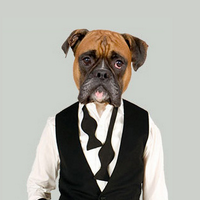 Chris Kerr (@chriskerrsoho) 's Twitter Profile