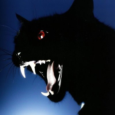 KitaoCorporal98's profile picture. 杭州 坍缩自我意识的遗像