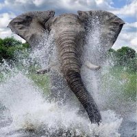 TLOU moroka meetse â pula (@balushi_kgeuzen) 's Twitter Profile Photo TLOU moroka meetse â pula (@balushi_kgeuzen) 's Twitter Profile Photo