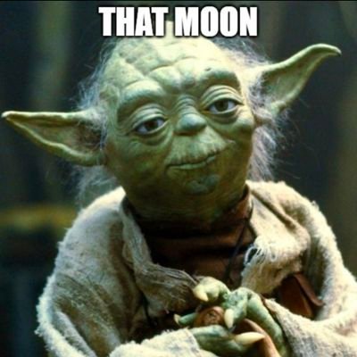 Follow official account here: @MoonThatCTO