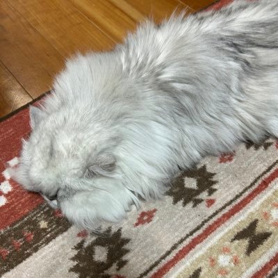 Ｙ☃︎/氷月さんのプロフィール画像
