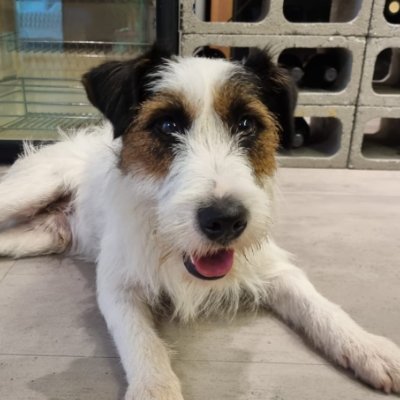 AcabouOClima's profile picture. 