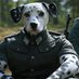 Dalmatian Fren (@dalmatianfren) Twitter profile photo Dalmatian Fren (@dalmatianfren) Twitter profile photo