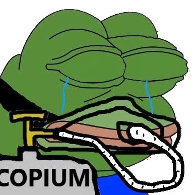deepseekcope's profile picture. Denial, bargaining, and cope
