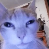i (@sogoodatnaming) 's Twitter Profile