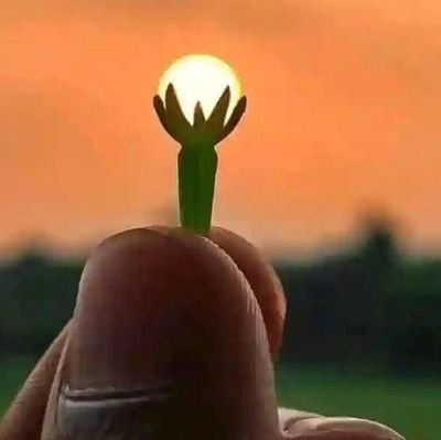 fidyan_sye50763's profile picture. goal of life