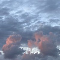 𓂆suzan (@subsam0) 's Twitter Profile