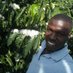Kugonza Nicholas Agronomist (@nickkugonza) Twitter profile photo Kugonza Nicholas Agronomist (@nickkugonza) Twitter profile photo