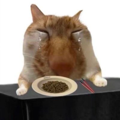 bucheu0715's profile picture. 다묵음