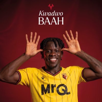 supertweak2's profile picture. Up the bloody hornets.