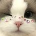 s (@sofnakmatcha) Twitter profile photo s (@sofnakmatcha) Twitter profile photo