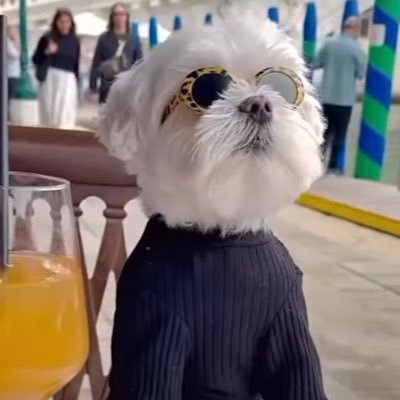 amirhenzo's profile picture. Nft-crypto