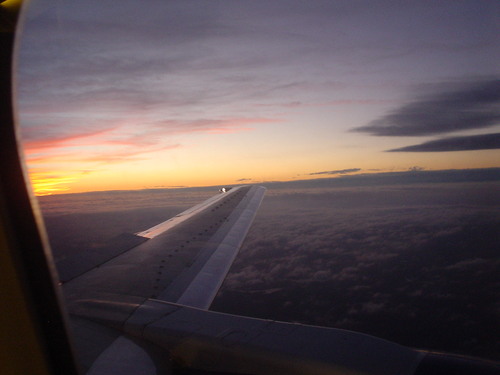 mfrenchnf's profile picture. 