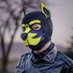 Flexi (@pupflexi) Twitter profile photo Flexi (@pupflexi) Twitter profile photo